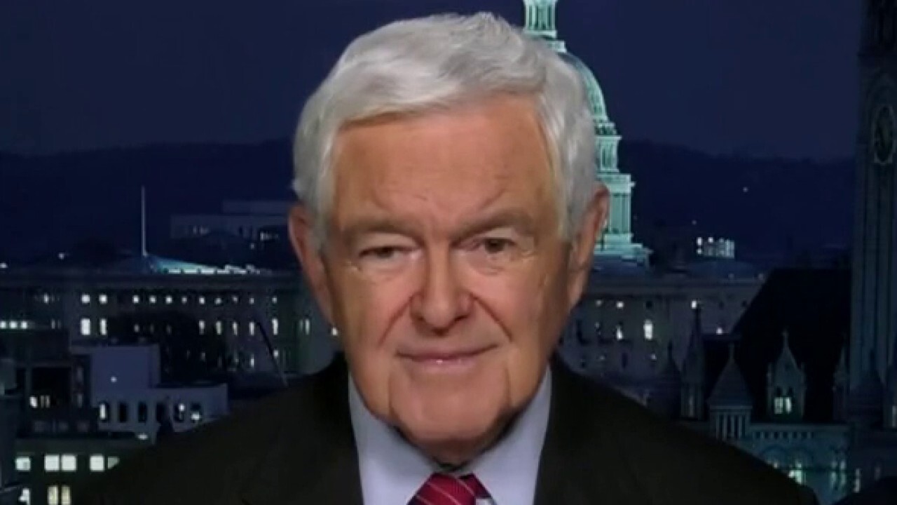 Gingrich reveals why Republicans and moderate Dems must stand up against Biden’s radical nominee