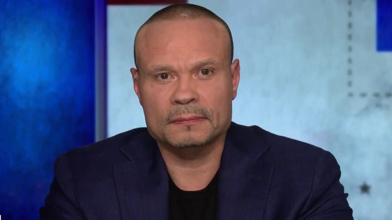 Dan Bongino: The 'big lie' is that the United States has a southern border