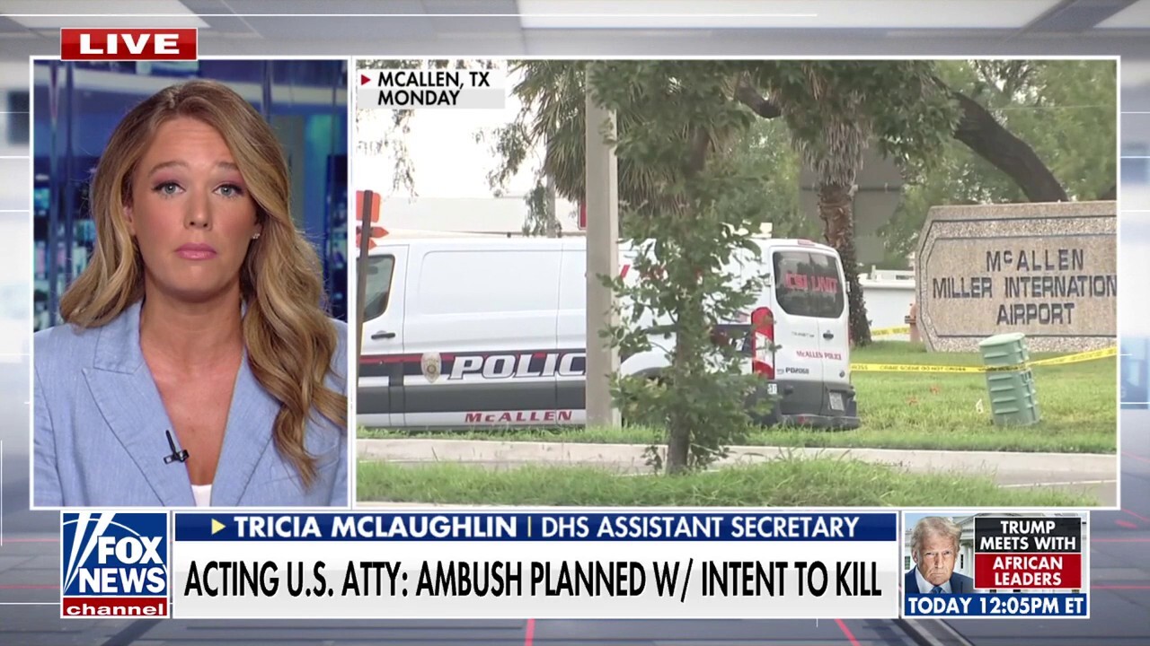 DHS accuses left-wing politicians, media of normalizing violence against ICE agents 