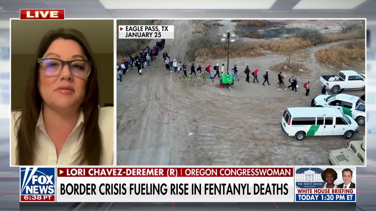 Rep. Lori Chavez-DeRemer says American residents on the southern border ‘need help’