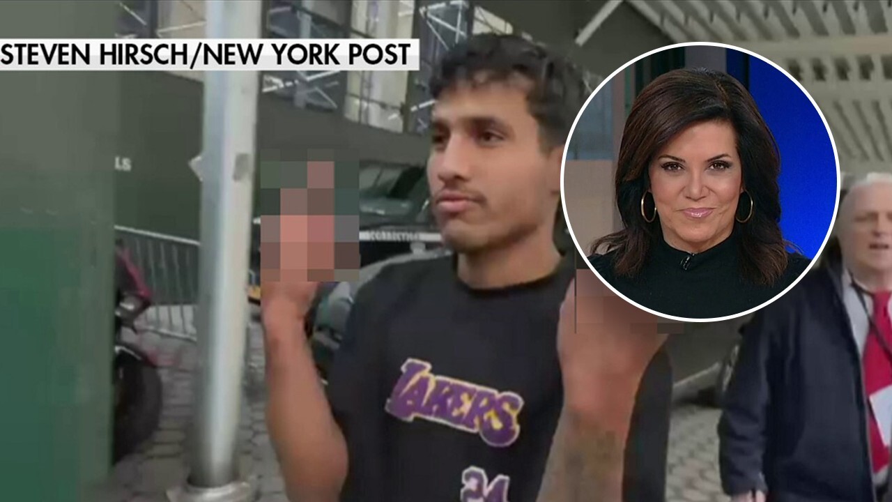 Michele Tafoya on migrants attacking NYC officers This picture is worth a thousand words