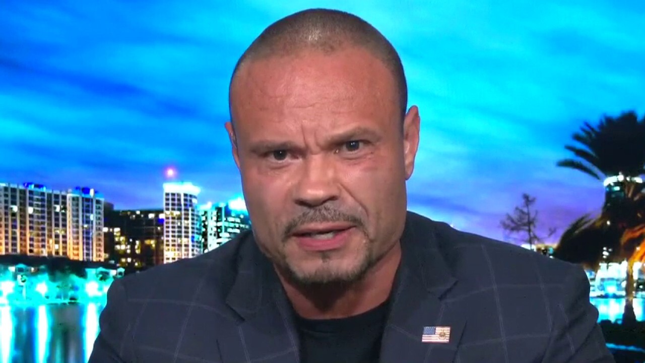 Dan Bongino: This is not about George Floyd anymore, this is an insurrection