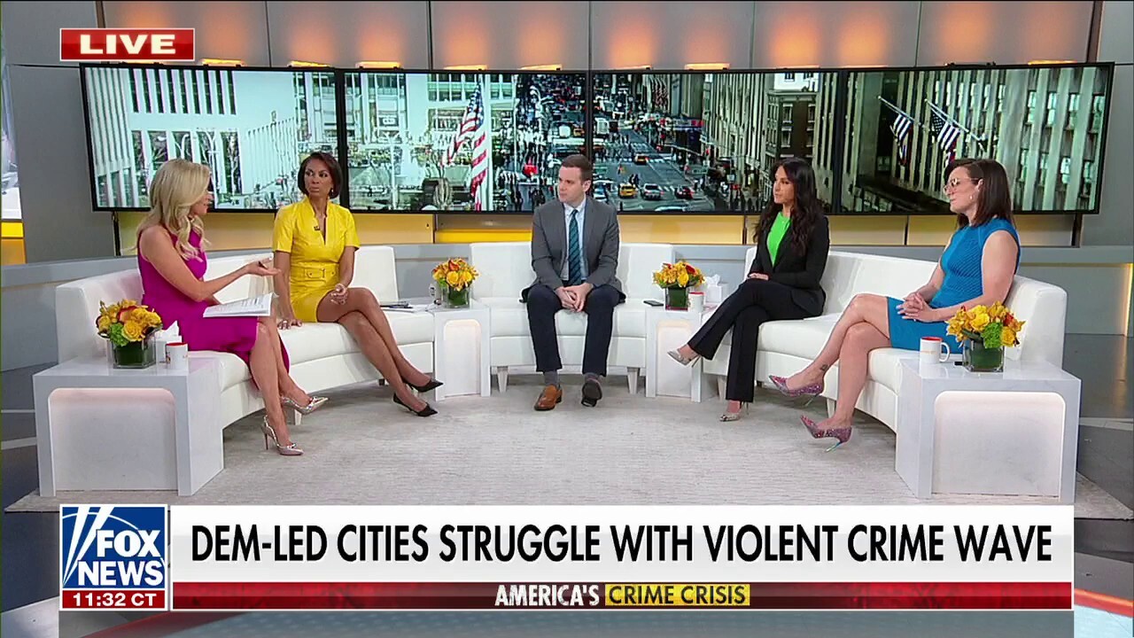 Kayleigh McEnany: Florida's low crime rate shows conservative policies work