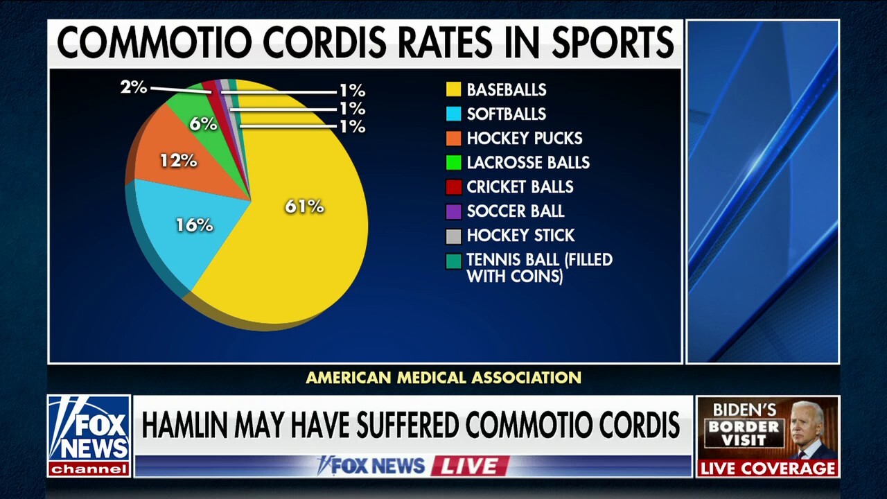 Medical expert analyzes how rare a phenomenon commotio cordis is