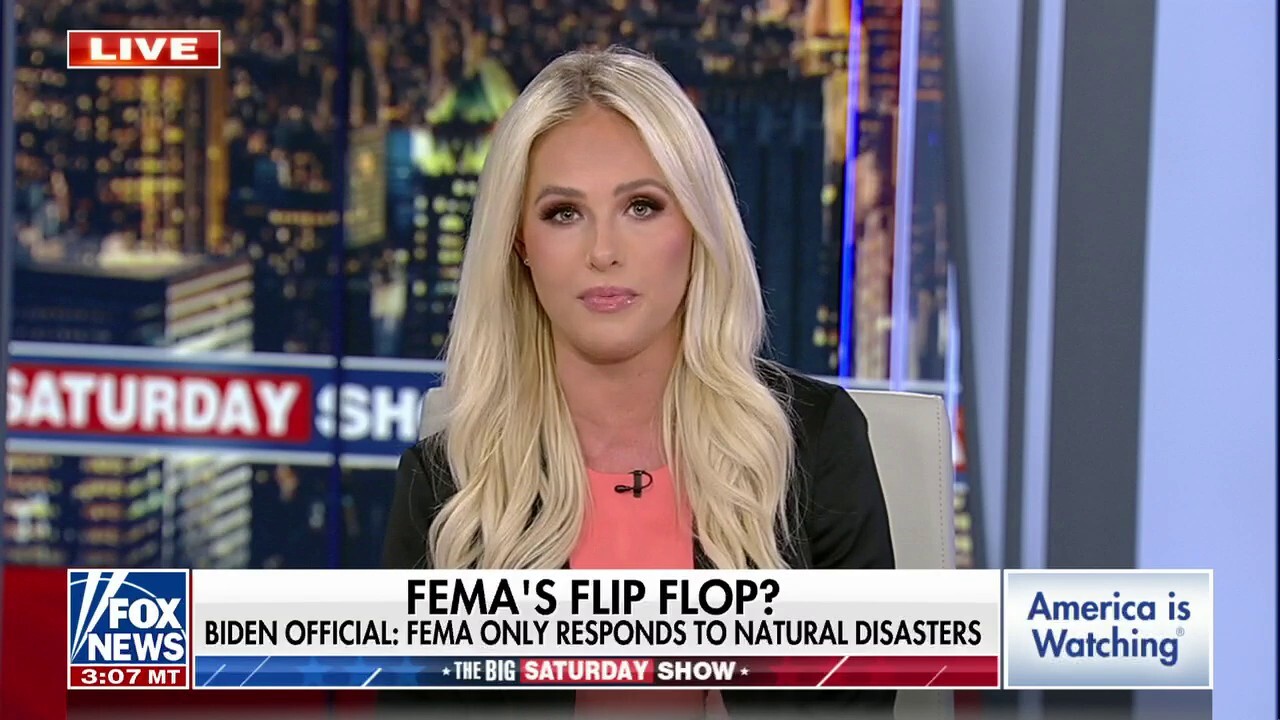 Where is Greta Thunberg, Al Gore and John Kerry on Ohio disaster?: Tomi Lahren