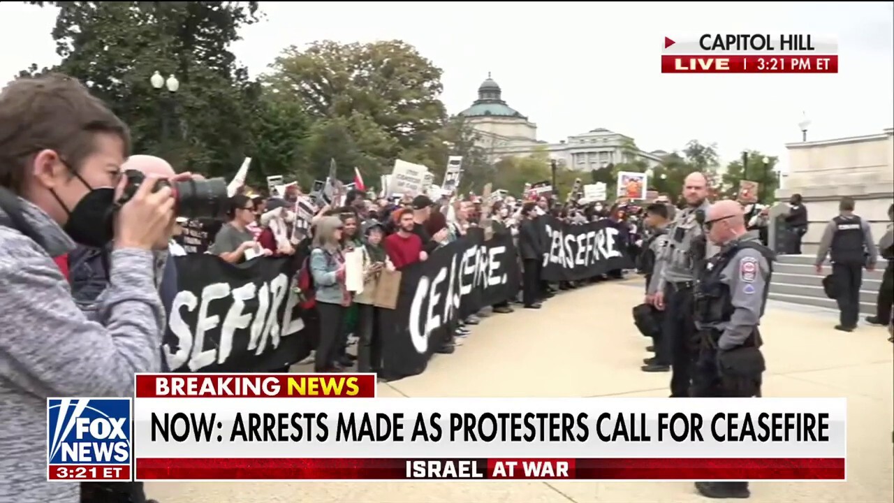 Arrests made as protesters on Capitol Hill call for ceasefire in Israel ...