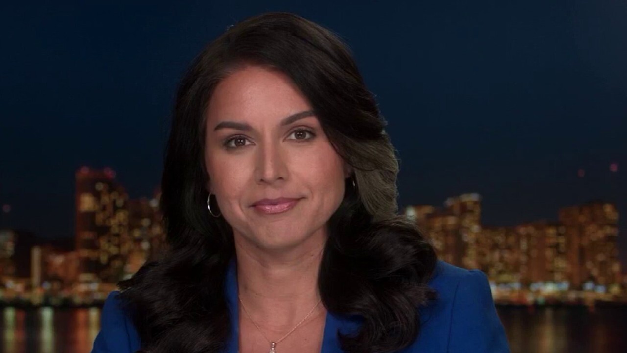 Gabbard: 'DC elite' controlling narrative on Biden family dealings