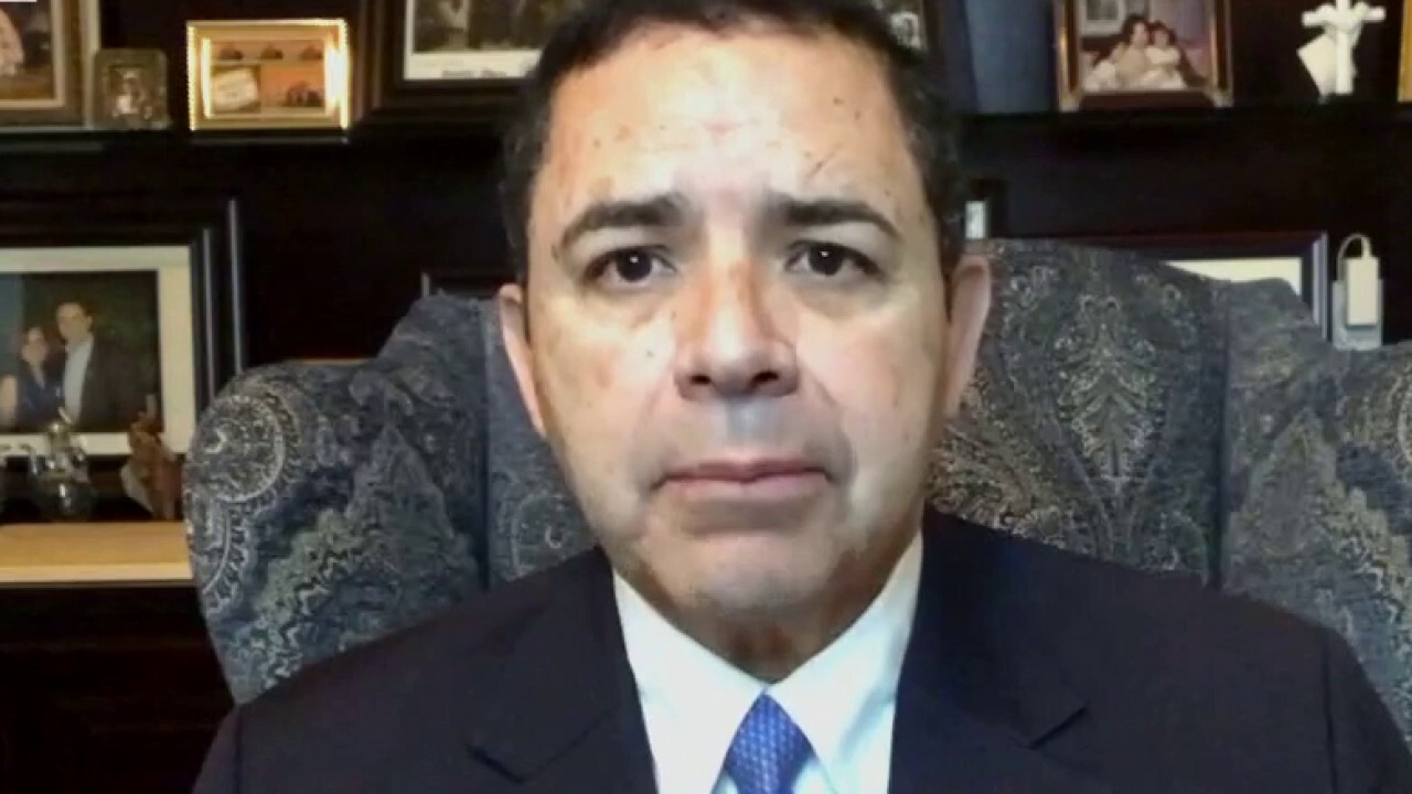 Democratic Texas Rep. Cuellar on why he released photos of crowded migrant holding center