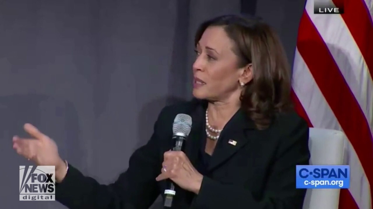 Kamala Harris ripped for claiming government hurricane aid will prioritize ‘communities of color’
