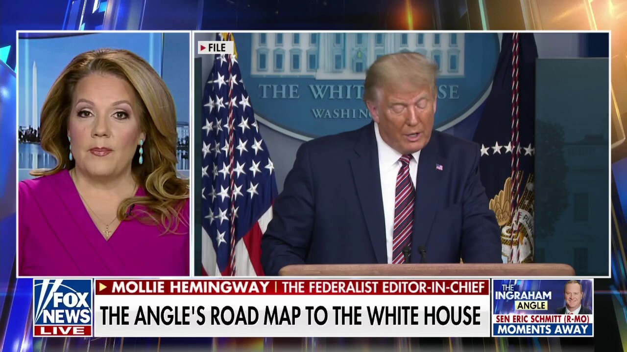 Trump needs to make the case that he can win Mollie Hemingway Fox(03)