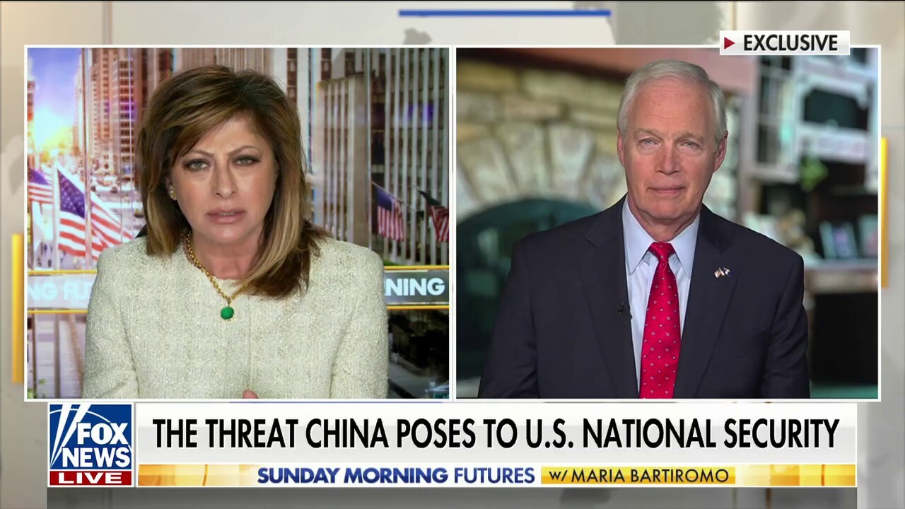 Sen. Ron Johnson slams 'compromised' Biden for stance on China: 'Detached from reality'
