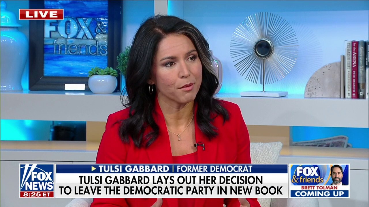 Democrat elite are threatening and undermining our fundamental freedom: Tulsi Gabbard