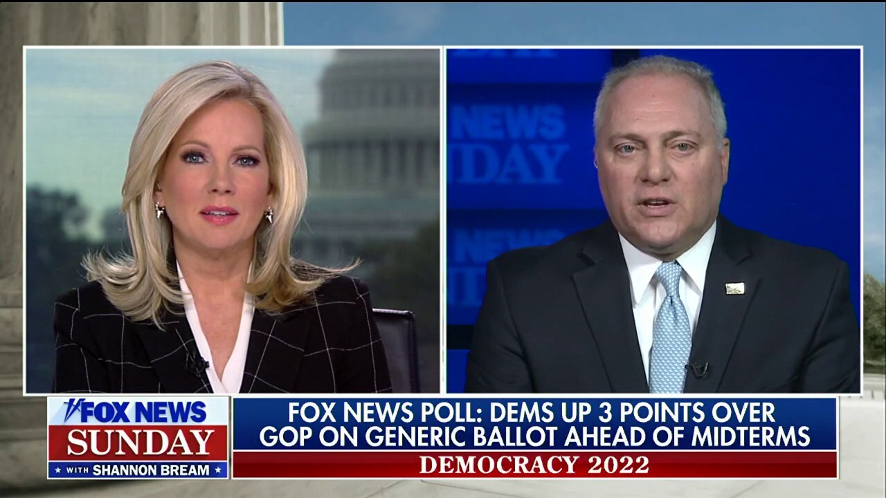 Rep. Steve Scalise rips Democrats over crime, energy: Voters want a 'check and balance' on 'far-left agenda'