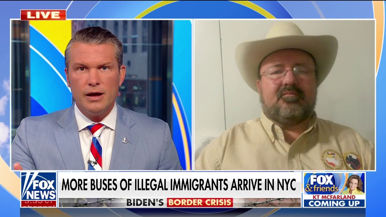 Former Texas sheriff details impact of border crisis on officials: 'We need relief'