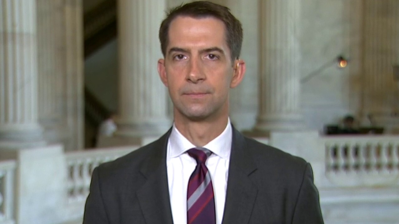 Sen. Cotton: All evidence points to COVID-19 coming from Wuhan labs