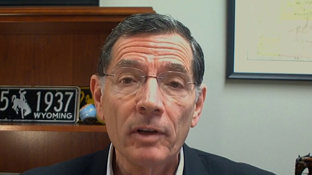 Sen Barrasso: 'Phase 4' relief bill likely, will not include Pelosi's leftist wish list