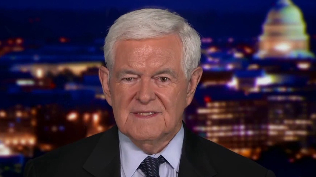 Gingrich reveals why the spending bills must be stopped