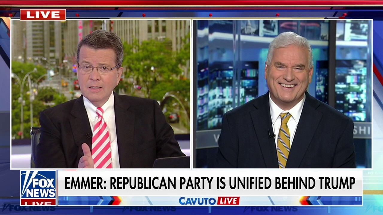 While Democrats ‘eat their own,’ GOP is ‘completely unified’ behind Trump: Rep. Tom Emmer