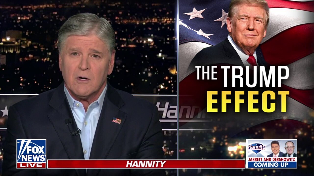 Sean Hannity: The Democratic Party is officially a dumpster fire