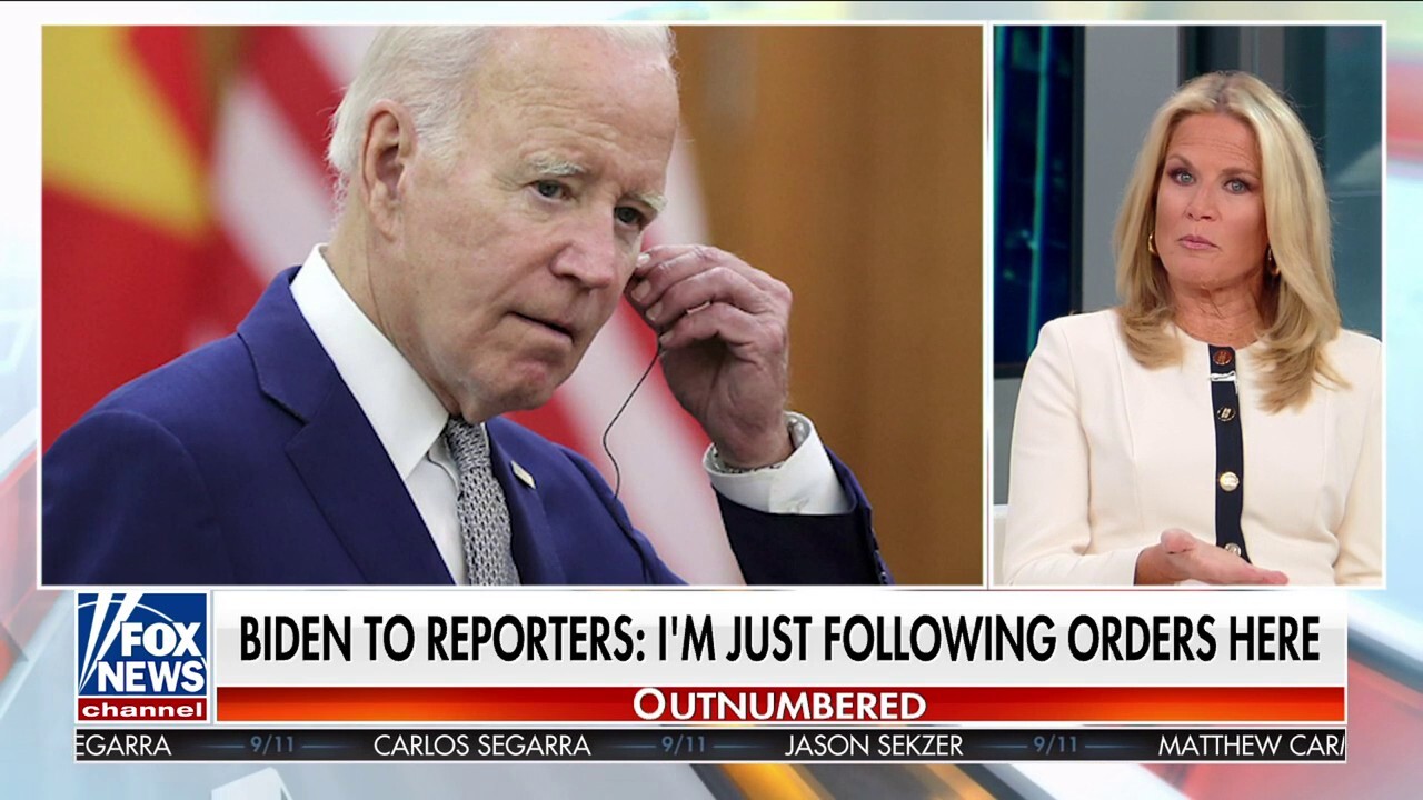 Martha maccallum fakes