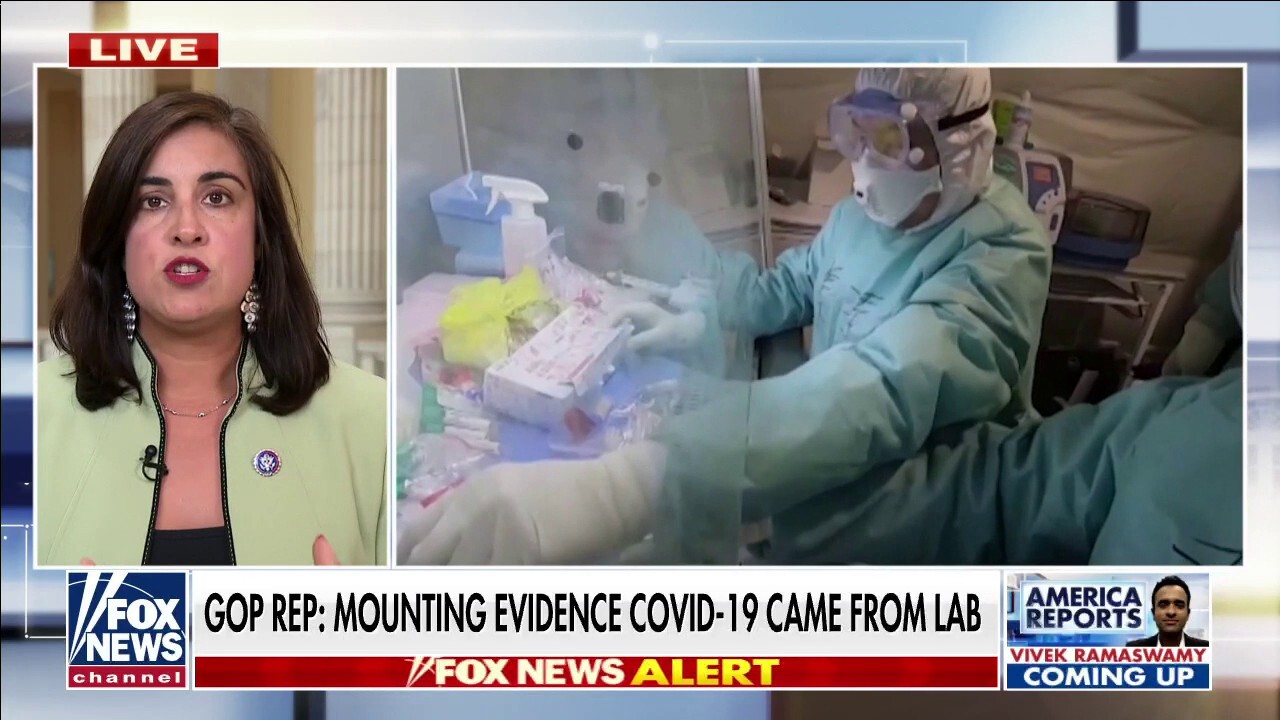 FOX NEWS: Rep. Malliotakis: 'Mounting evidence' showing that COVID originated in Wuhan lab June 29, 2021 at 11:58PM