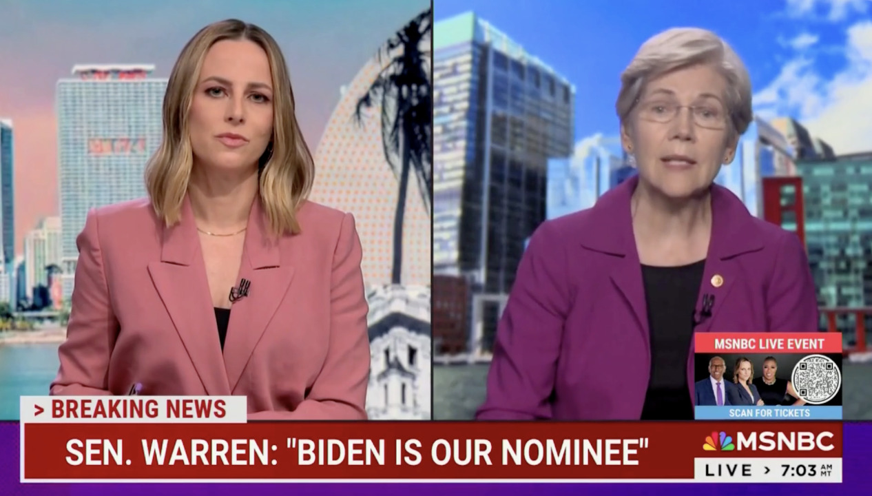 Elizabeth Warren repeatedly says Biden has 'big decision to make' in MSNBC interview