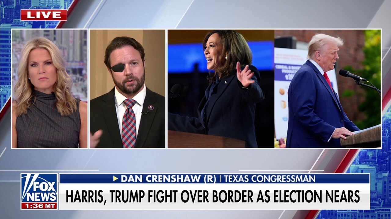 American society commonly believes illegals should be deported: Rep. Dan Crenshaw