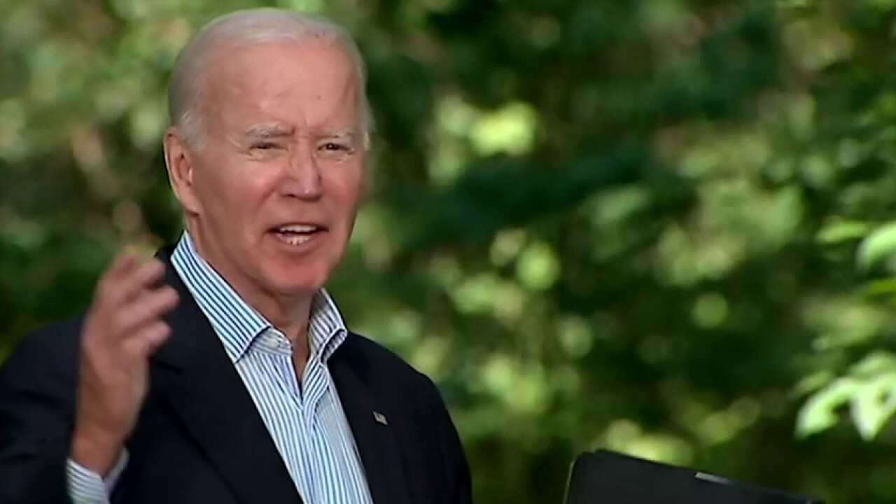 Biden's smirk to the press at Camp David 'tells you everything': Tammy Bruce