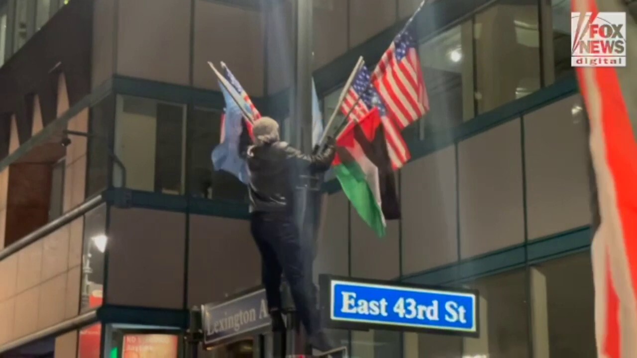 A pro-Palestinian protester is arrested after tearing down U.S. flags in New York City