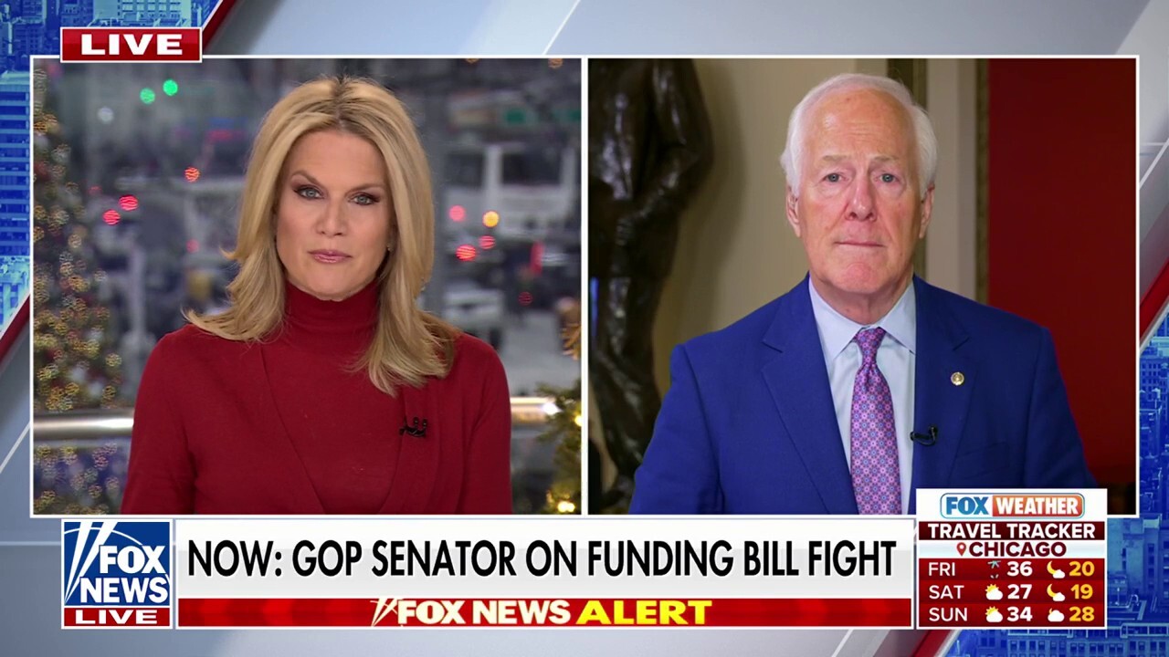 US will 'pay the price' of uncontrolled border policy for decades to come, GOP senator warns