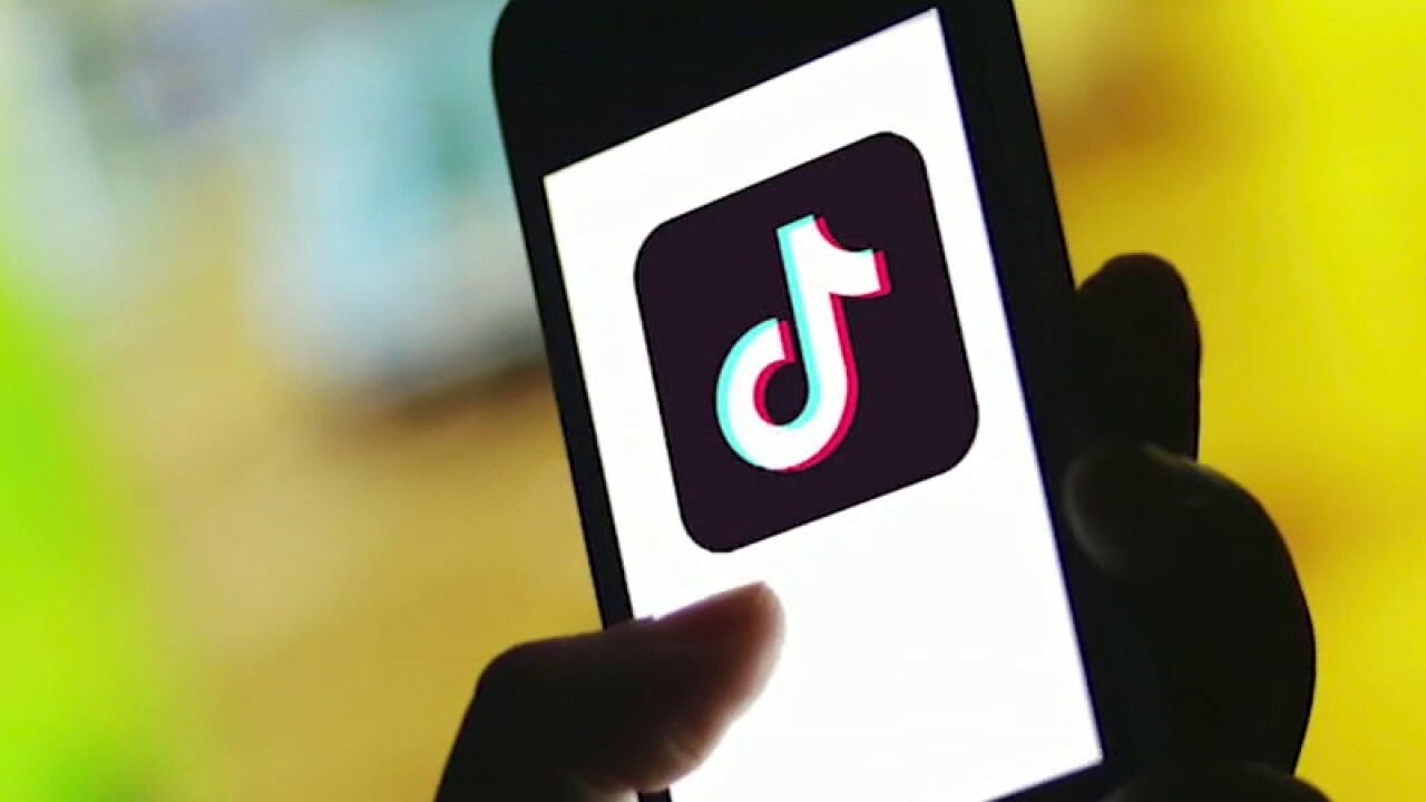 TikTok says its 'here for the long run' after Trump floats ban over security fears - Fox News