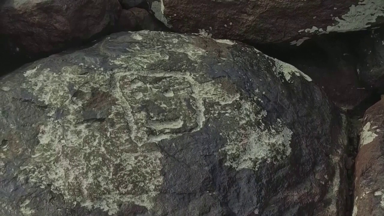 Миньорите от Северна Дакота откриха вкаменелости от древен мамут, включително бивник с дължина 7 фута: `Вълнуваща находка`