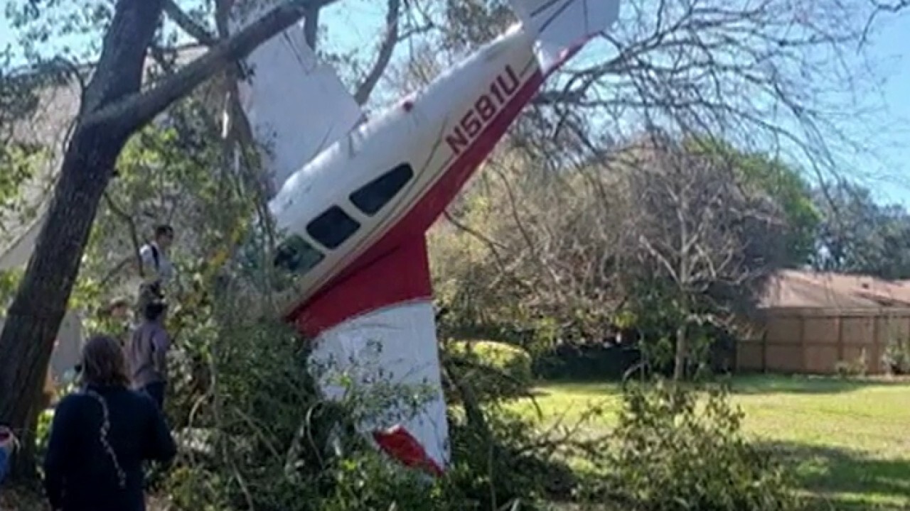 Two men, dog unharmed after plane crashes into tree