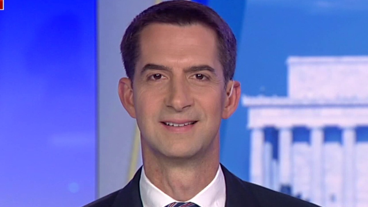 Cotton: Biden 'not up to the task' of taking on China
