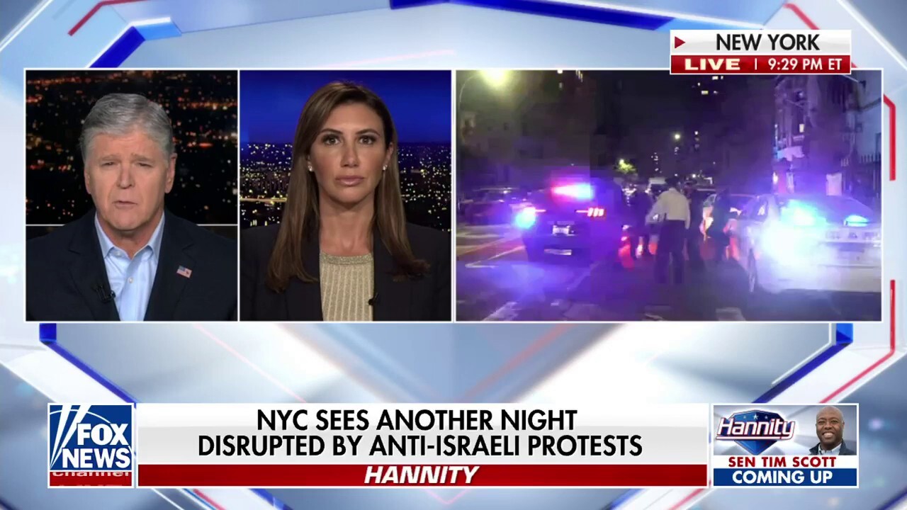 Former President Trump’s legal spokeswoman Alina Habba discusses a judge threatening former President Trump with jail time if he continues violating his gag order on ‘Hannity.’