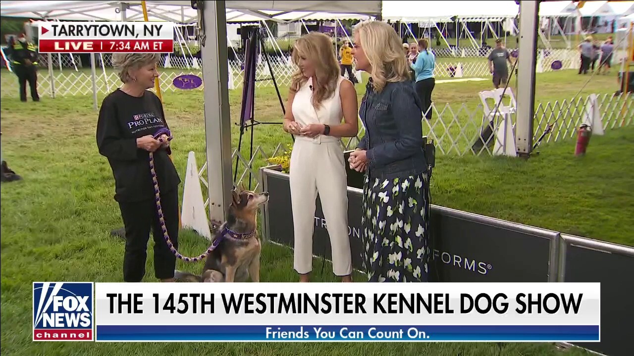 Fox news westminster dog 2024 show