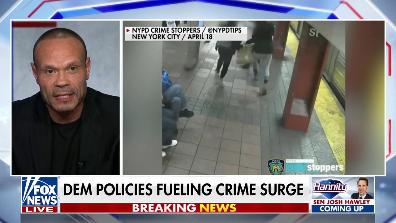 Dan Bongino: Government's 'stupidity' is to blame for crime spike