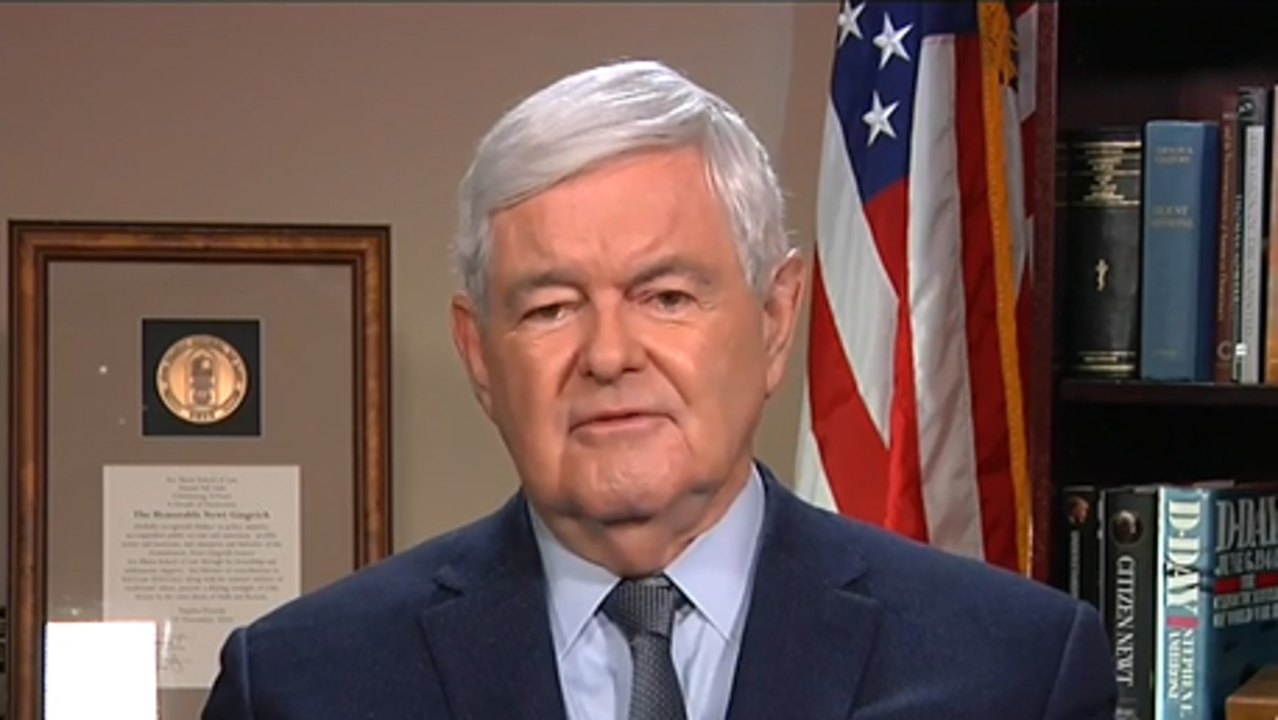 Newt: Democrat party is a radical socialist party that makes you feel good