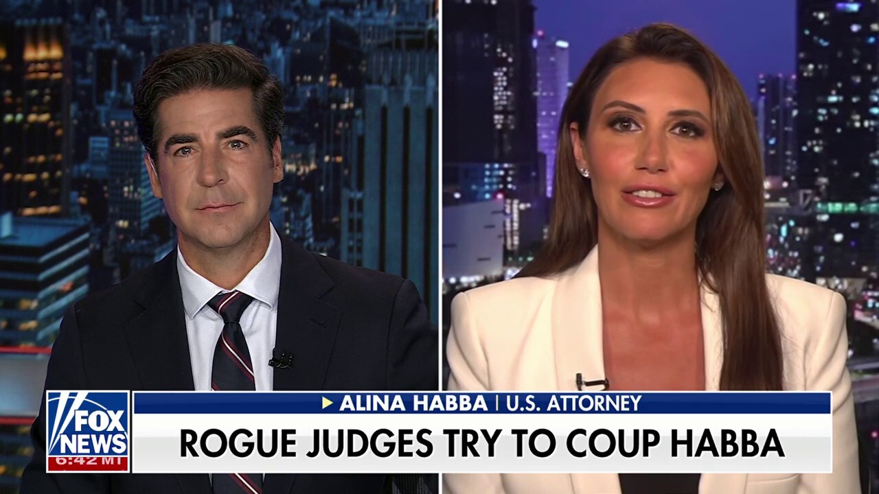 Alina Habba: Trying to doxx ICE agents is unacceptable