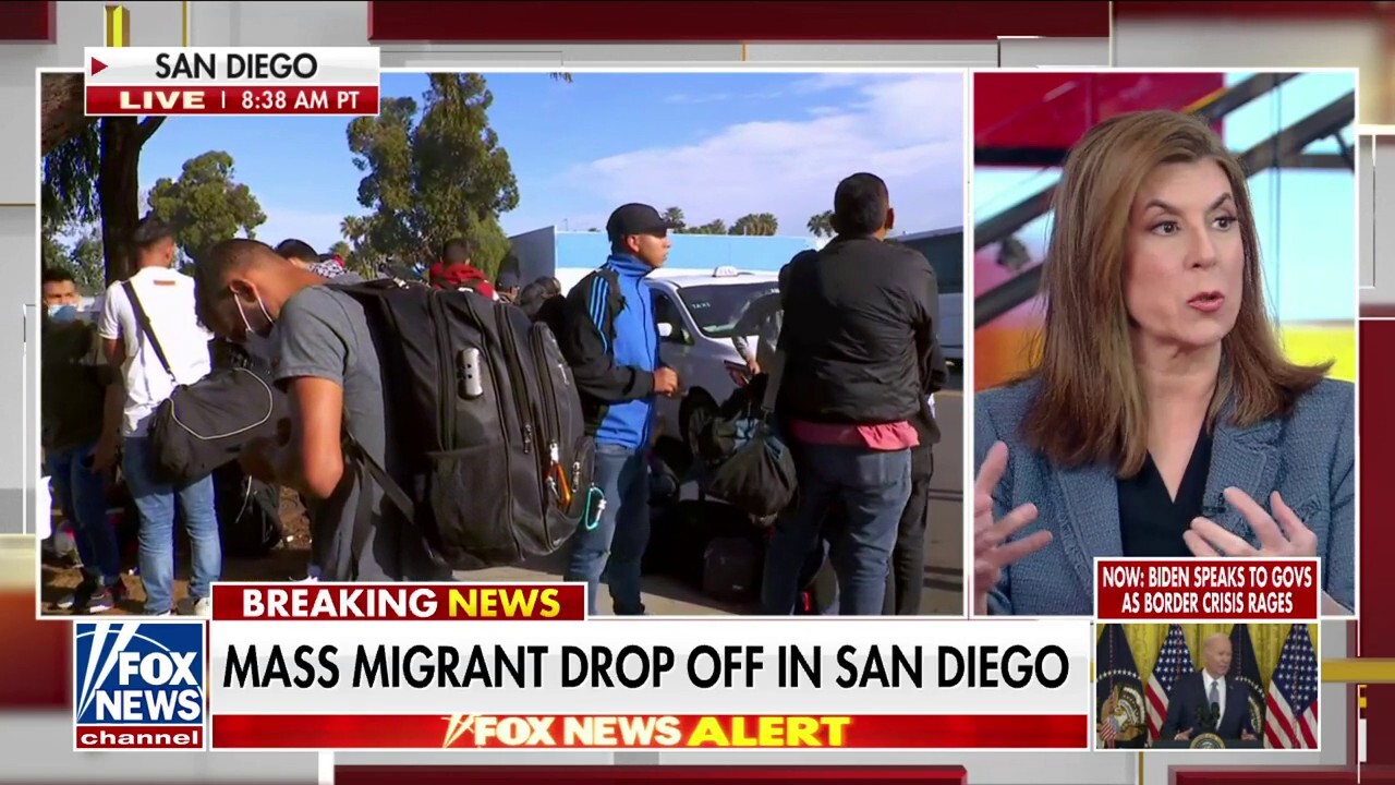 Tammy Bruce details 'human disaster' at the southern border: 'This is chaos'