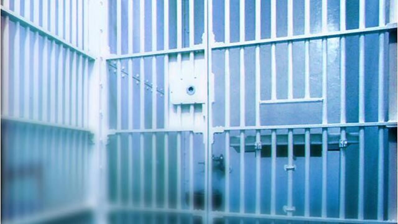 Los Angeles forced male in juvenile detention facility to take estrogen