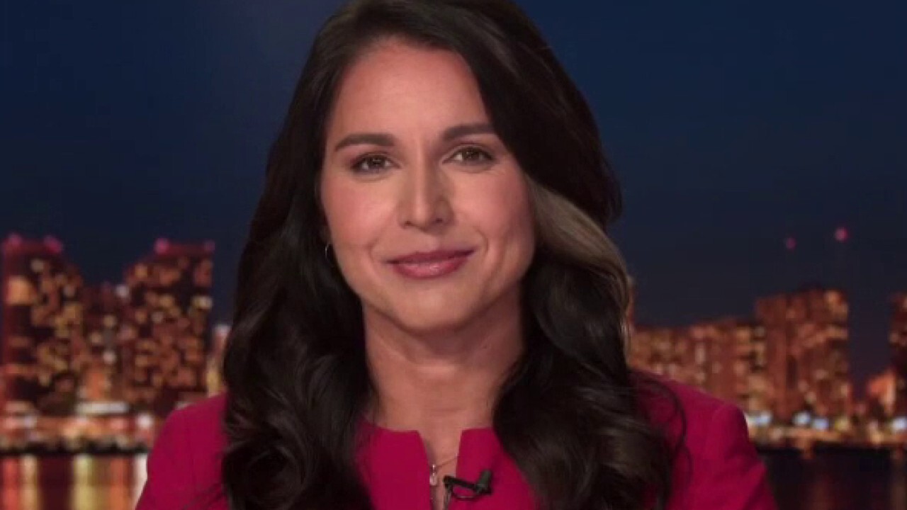 Tulsi Gabbard: There is an 'increasing feeling' we are 'losing our democracy'