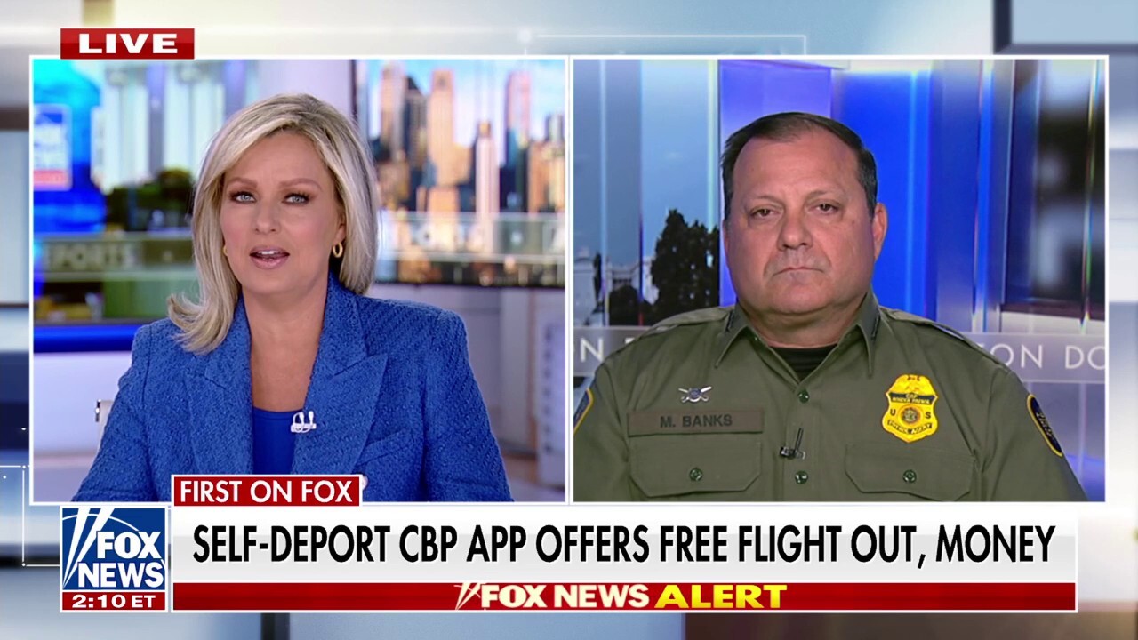  How are self-deportations helping to combat illegal immigration?