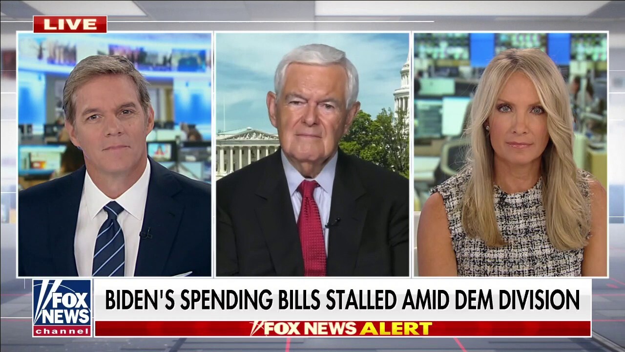 Newt Gingrich accuses Democrats of holding 'massive' spending bill 'hostage'