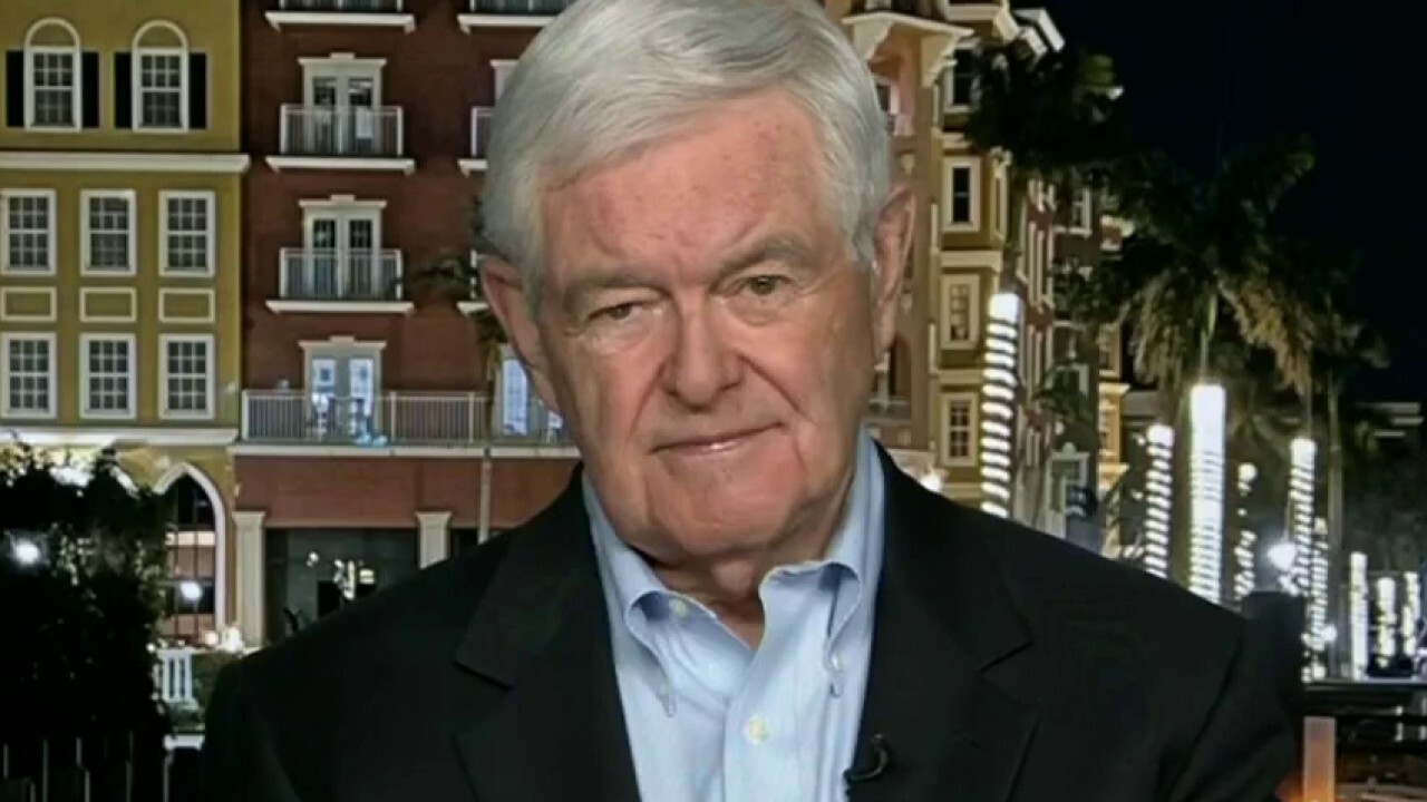 Newt Gingrich: I'm not sure if Nancy Pelosi would understand this