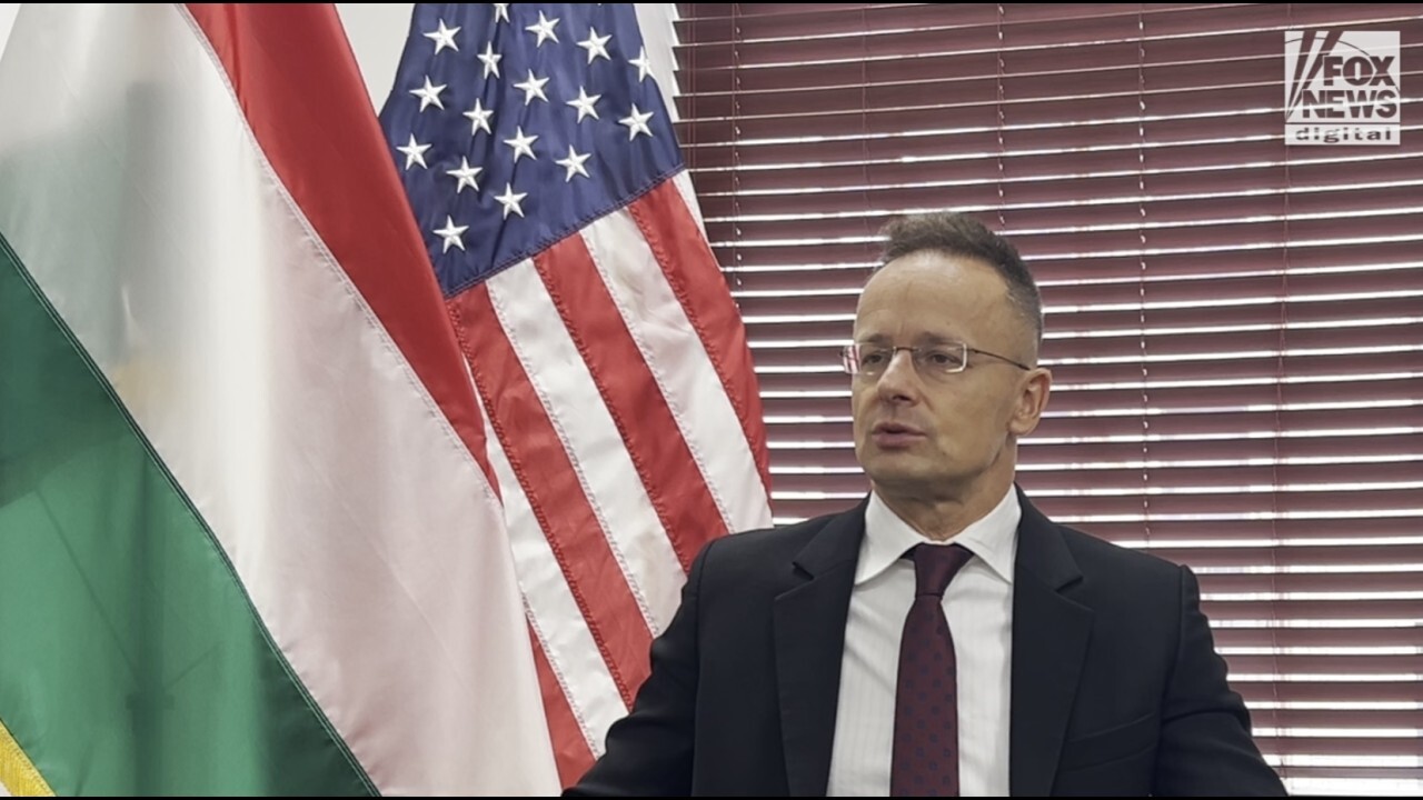 Hungarian FM discusses the Trump effect