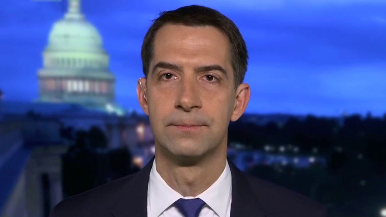 Cotton: FEMA was sent to border because it's an emergency