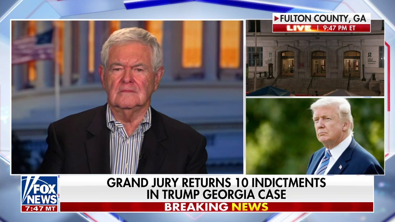 Newt Gingrich: We are drifting towards the greatest Constitutional crisis since the 1850s