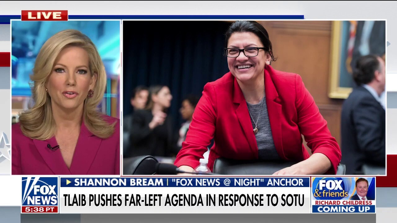 'Squad' member Tlaib delivers response to Biden's first SOTU