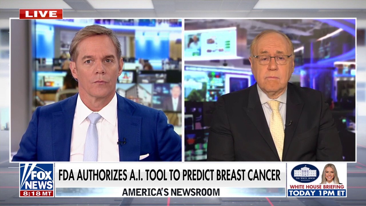 FDA authorizes AI tool to predict breast cancer risk
